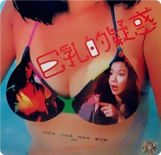 巨乳的疑惑1993海报