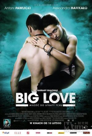 大爱\/Big Love海报